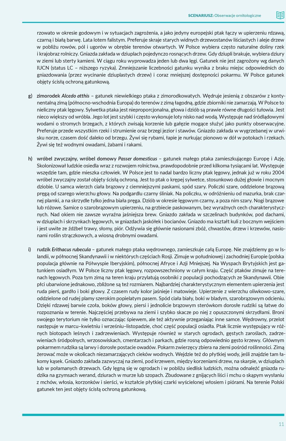 Gniazda zakłada w dziuplach pojedynczo rosnących drzew. Gdy dziupli brakuje, wybiera dziury w ziemi lub sterty kamieni. W ciągu roku wyprowadza jeden lub dwa lęgi.