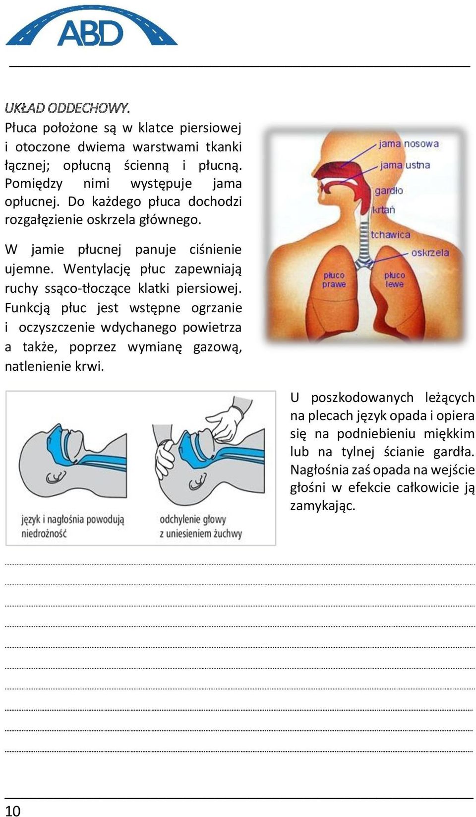 Wentylację płuc zapewniają ruchy ssąco-tłoczące klatki piersiowej.