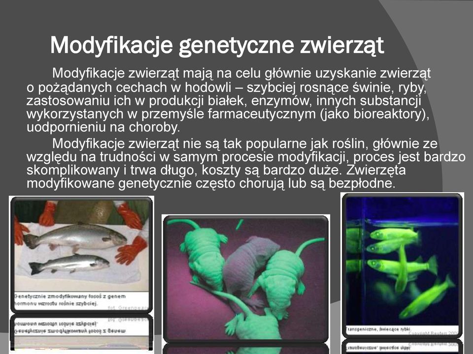 bioreaktory), uodpornieniu na choroby.