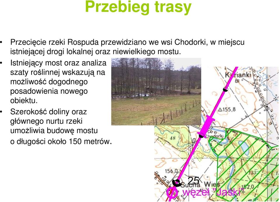 Istniejący most oraz analiza szaty roślinnej wskazują na możliwość dogodnego