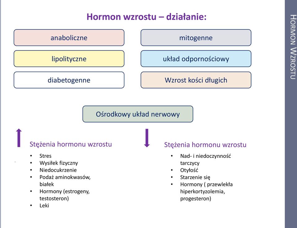 Stężenia hormonu wzrostu Stres Wysiłek fizyczny Niedocukrzenie Podaż aminokwasów, białek Hormony