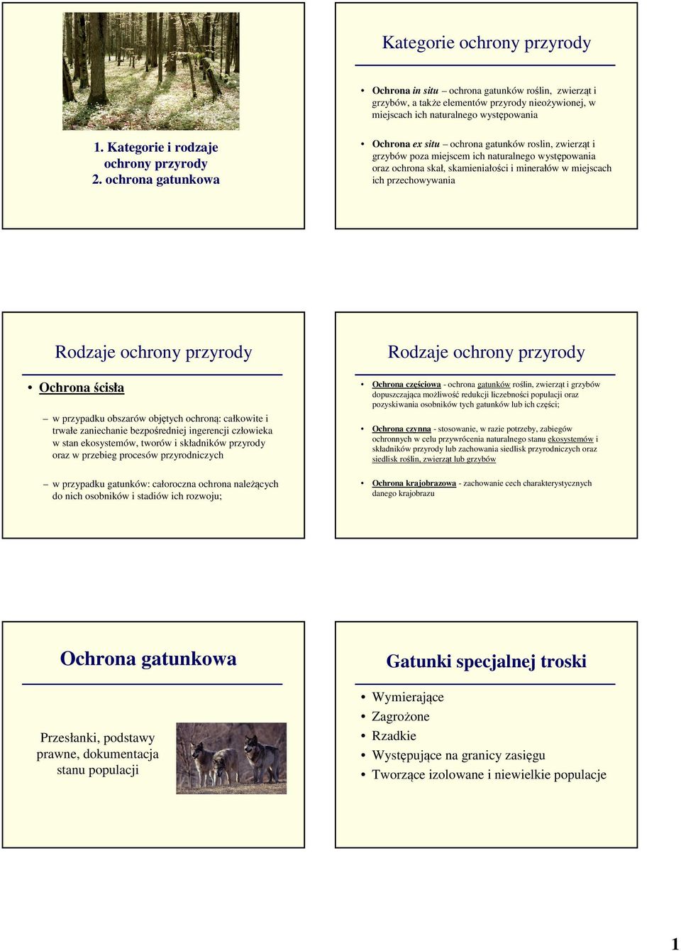 ochrona gatunkowa Ochrona ex situ ochrona gatunków roslin, zwierząt i grzybów poza miejscem ich naturalnego występowania oraz ochrona skał, skamieniałości i minerałów w miejscach ich przechowywania