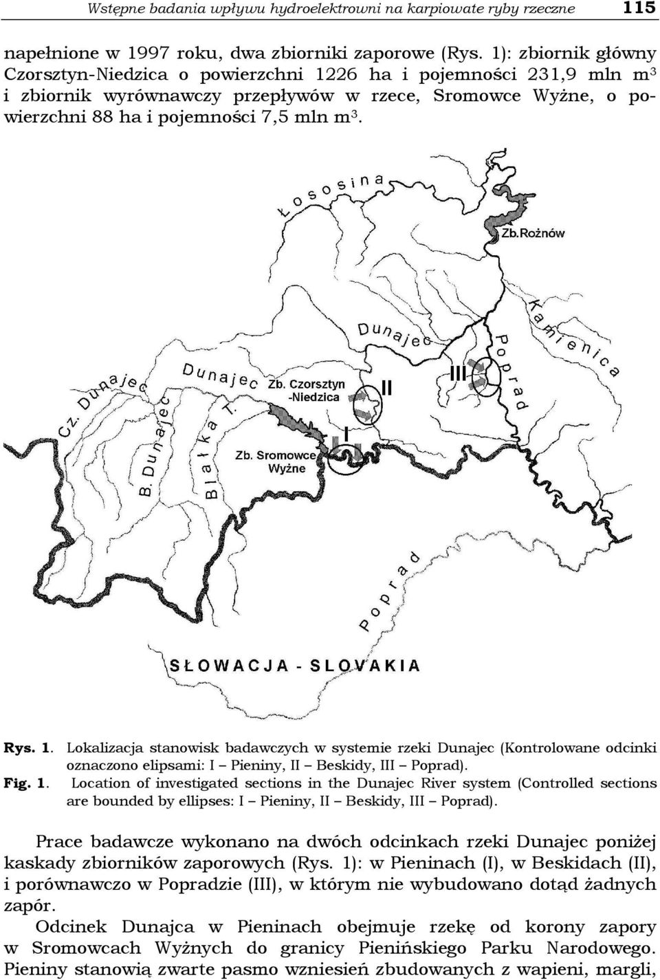 Fig. 1. Location of investigated sections in the Dunajec River system (Controlled sections are bounded by ellipses: I Pieniny, II Beskidy, III Poprad).