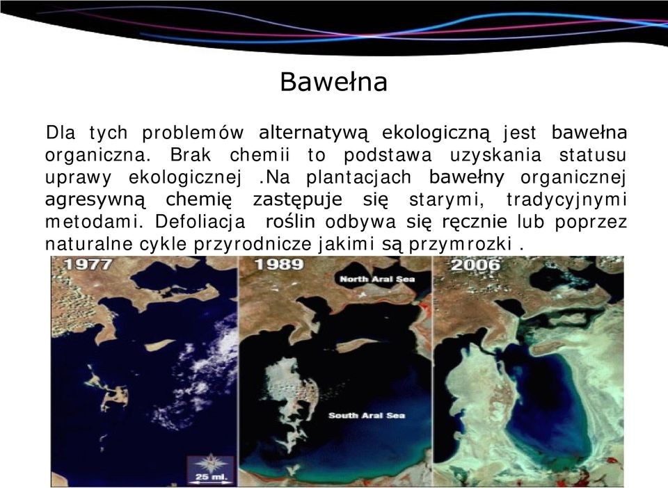 na plantacjach bawełny organicznej agresywną chemię zastępuje się starymi,