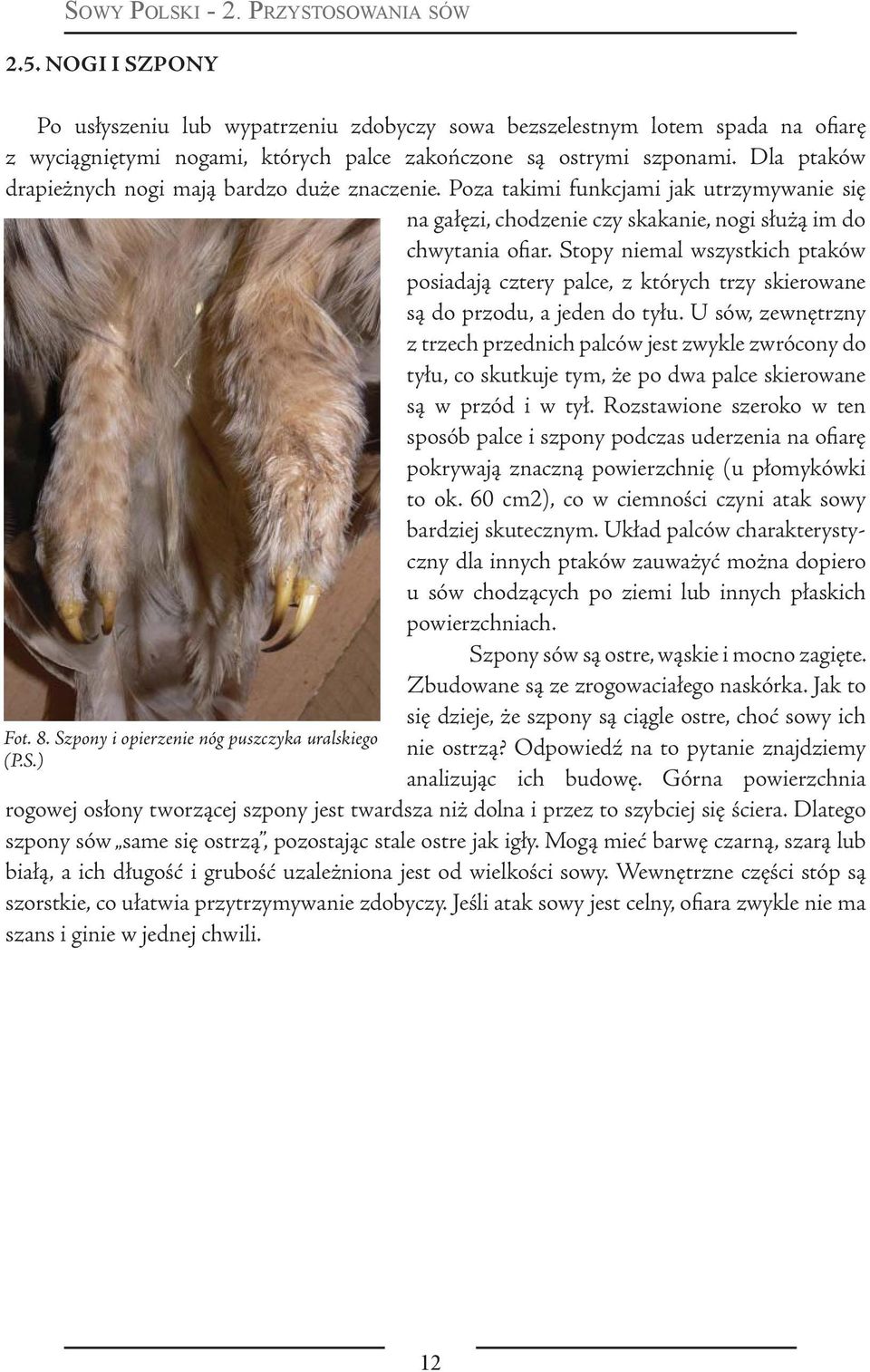 Dla ptaków drapieżnych nogi mają bardzo duże znaczenie. Poza takimi funkcjami jak utrzymywanie się na gałęzi, chodzenie czy skakanie, nogi służą im do chwytania ofiar.