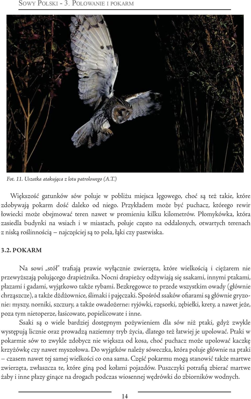 Przykładem może być puchacz, którego rewir łowiecki może obejmować teren nawet w promieniu kilku kilometrów.