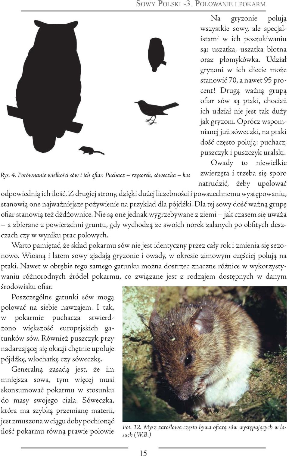 Oprócz wspomnianej już sóweczki, na ptaki dość często polują: puchacz, puszczyk i puszczyk uralski. Owady to niewielkie Rys. 4. Porównanie wielkości sów i ich ofiar.