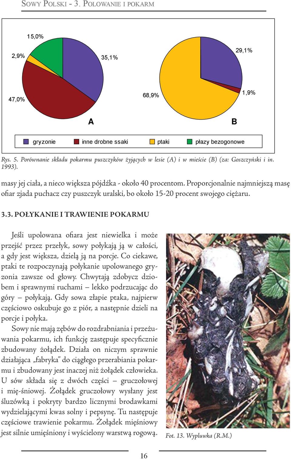 Proporcjonalnie najmniejszą masę ofiar zjada puchacz czy puszczyk uralski, bo około 15-20 procent swojego ciężaru. 3.