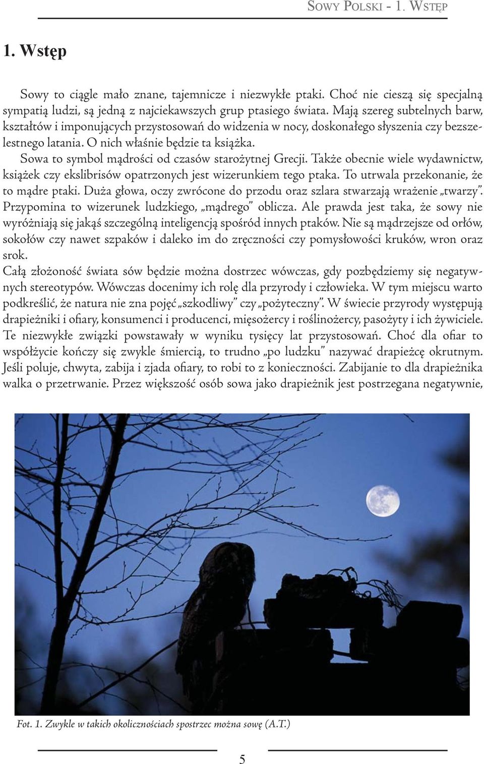 Sowa to symbol mądrości od czasów starożytnej Grecji. Także obecnie wiele wydawnictw, książek czy ekslibrisów opatrzonych jest wizerunkiem tego ptaka. To utrwala przekonanie, że to mądre ptaki.
