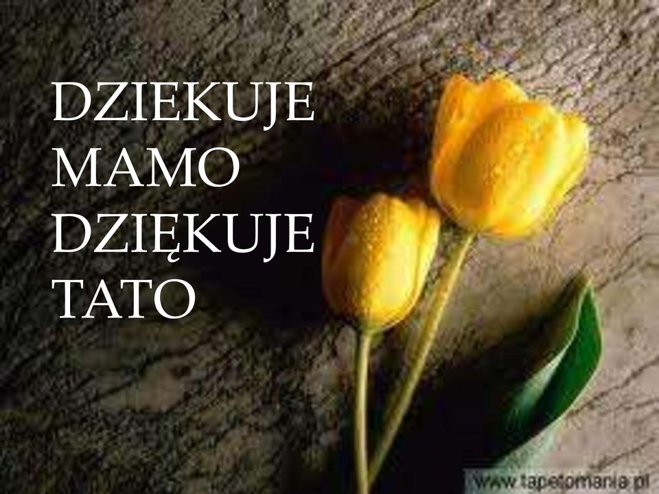 DZIĘKUJE