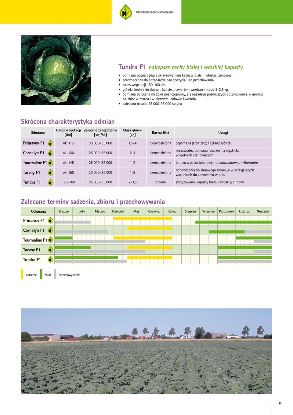 pierwszej połowie kwietnia zalecana obsada 25 000-35 000 szt./ha Skrócona charakterystyka odmian Odmiana Okres wegetacji [dni] Zalecane zagęszczenie [szt.