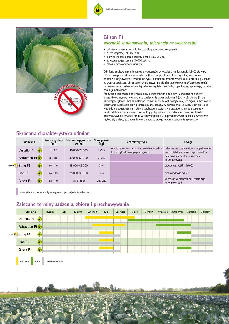 /ha łatwa i niezawodna w uprawie Odmiana znalazła uznanie wśród producentów ze względu na doskonałą jakość główek, których waga i struktura wewnętrzna (liście na przekroju główki gładkie) wychodzą