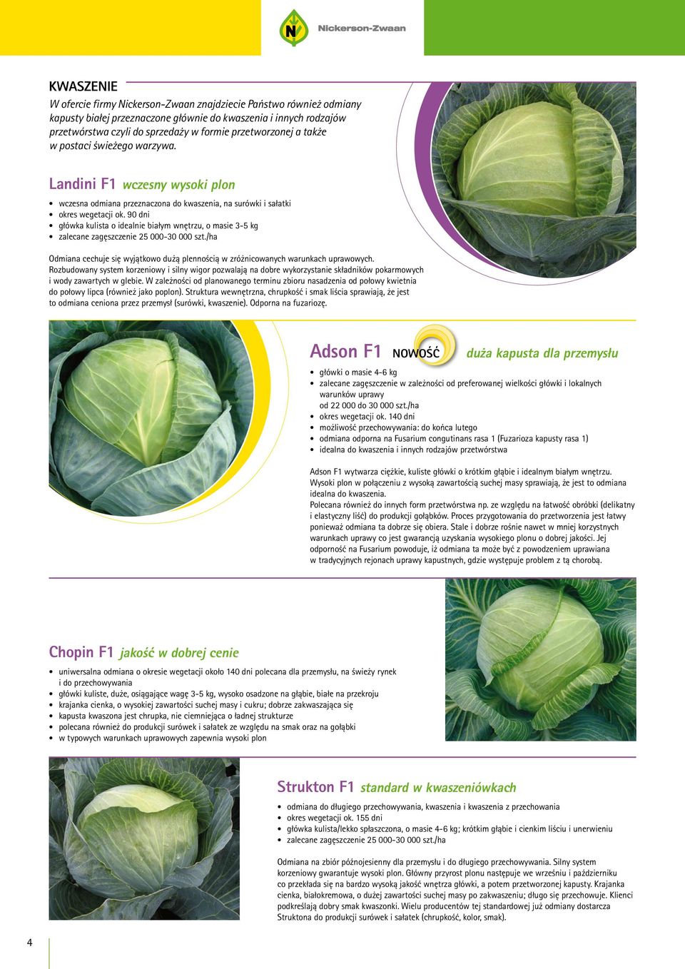 90 dni główka kulista o idealnie białym wnętrzu, o masie 3-5 kg zalecane zagęszczenie 25 000-30 000 szt./ha Odmiana cechuje się wyjątkowo dużą plennością w zróżnicowanych warunkach uprawowych.