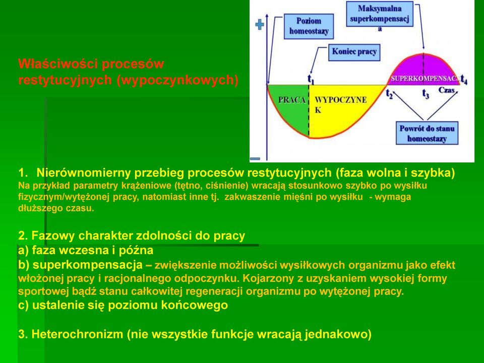 fizycznym/wytężonej pracy, natomiast inne tj. zakwaszenie mięśni po wysiłku - wymaga dłuższego czasu. 2.