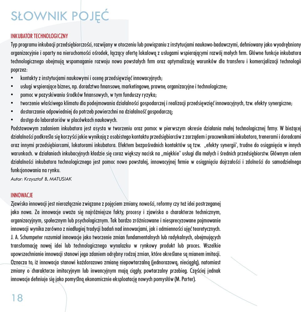 Główne funkcje inkubatora technologicznego obejmują wspomaganie rozwoju nowo powstałych firm oraz optymalizację warunków dla transferu i komercjalizacji technologii poprzez: kontakty z instytucjami