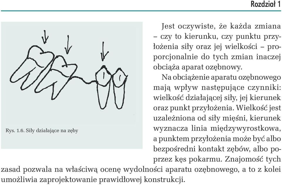 Wielkość jest uzależniona od siły mięśni, kierunek Rys. 1.6.