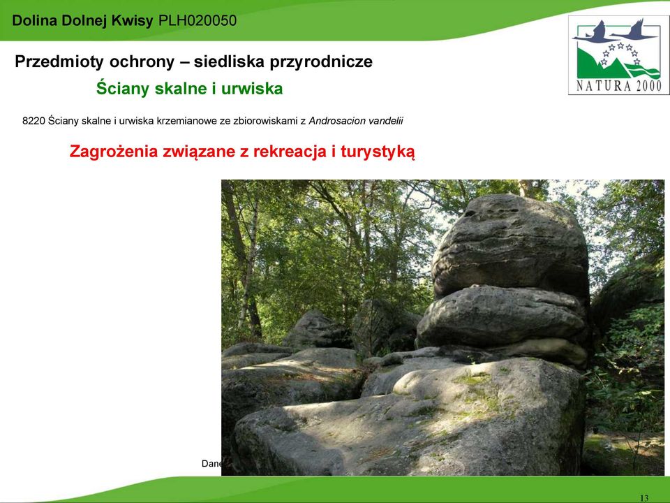 8220 Ściany skalne i urwiska