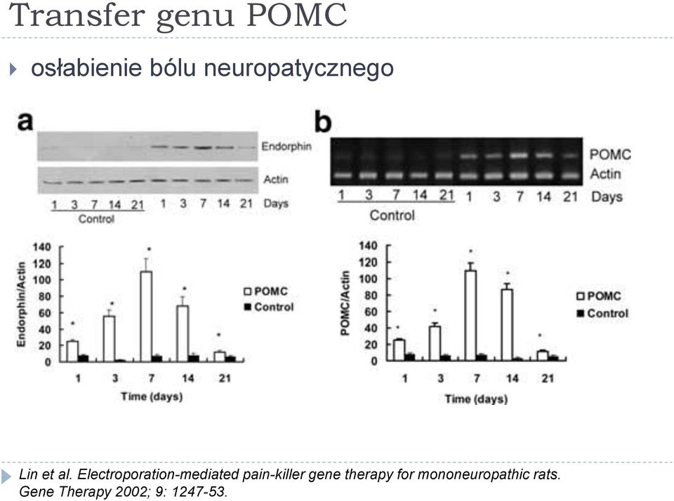 Electroporation-mediated pain-killer gene