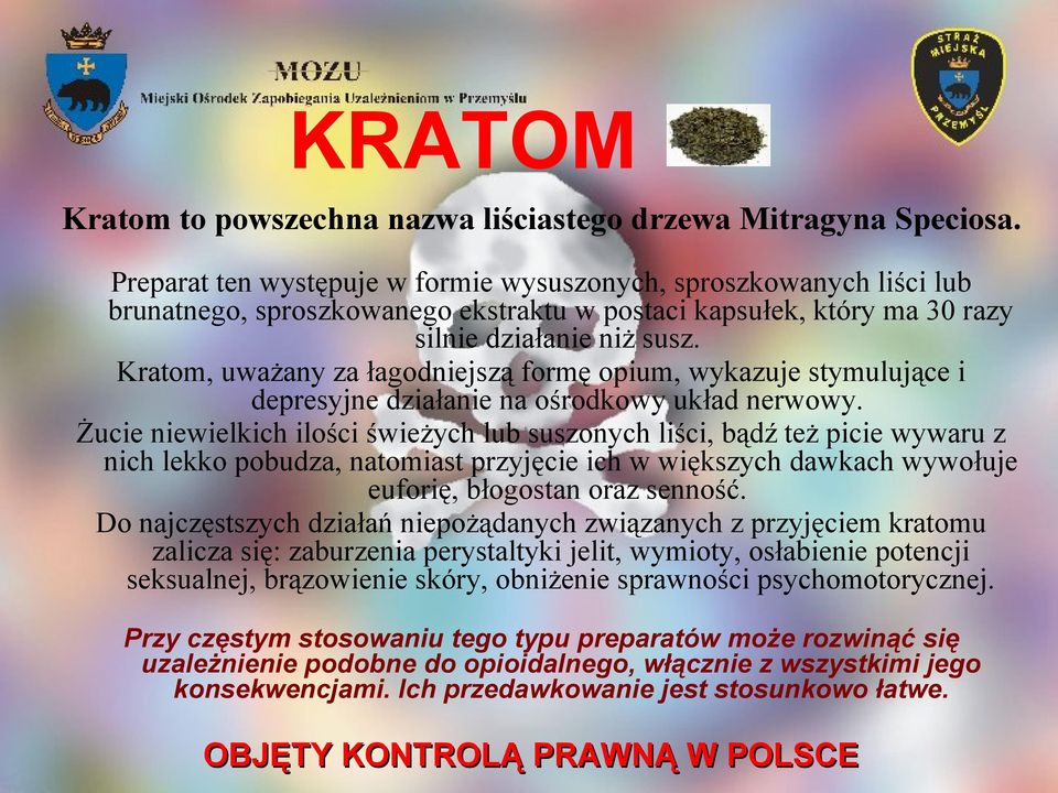 Kratom, uważany za łagodniejszą formę opium, wykazuje stymulujące i depresyjne działanie na ośrodkowy układ nerwowy.