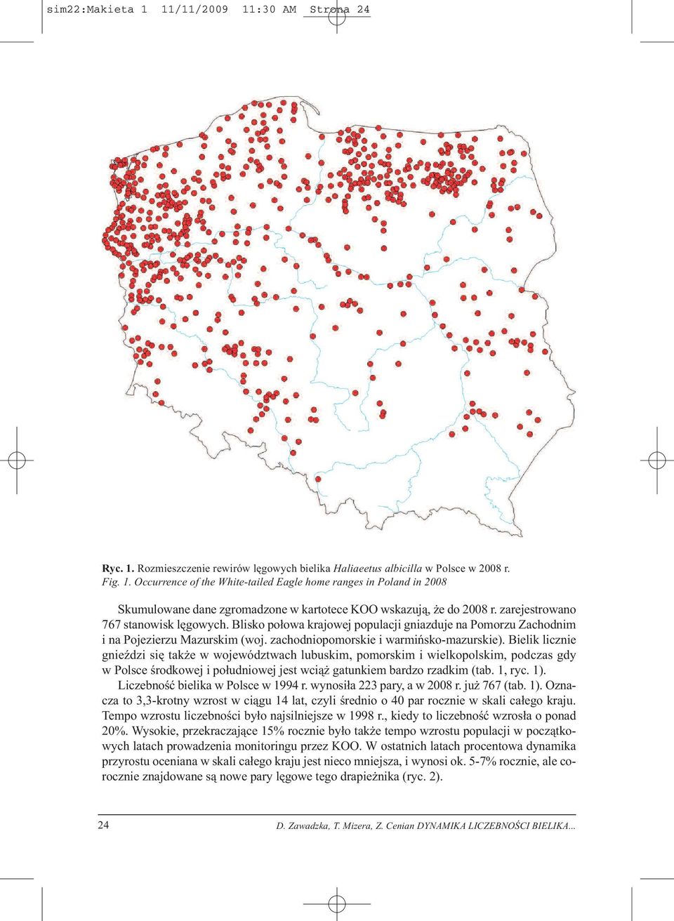 Bielik licznie gnieździ się także w województwach lubuskim, pomorskim i wielkopolskim, podczas gdy w Polsce środkowej i południowej jest wciąż gatunkiem bardzo rzadkim (tab. 1, ryc. 1).