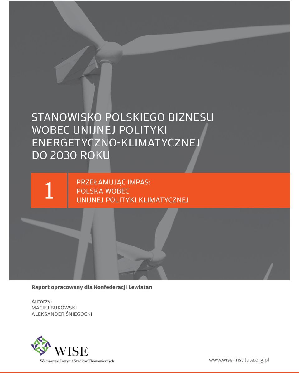 WOBEC UNIJNEJ POLITYKI KLIMATYCZNEJ Raport opracowany dla