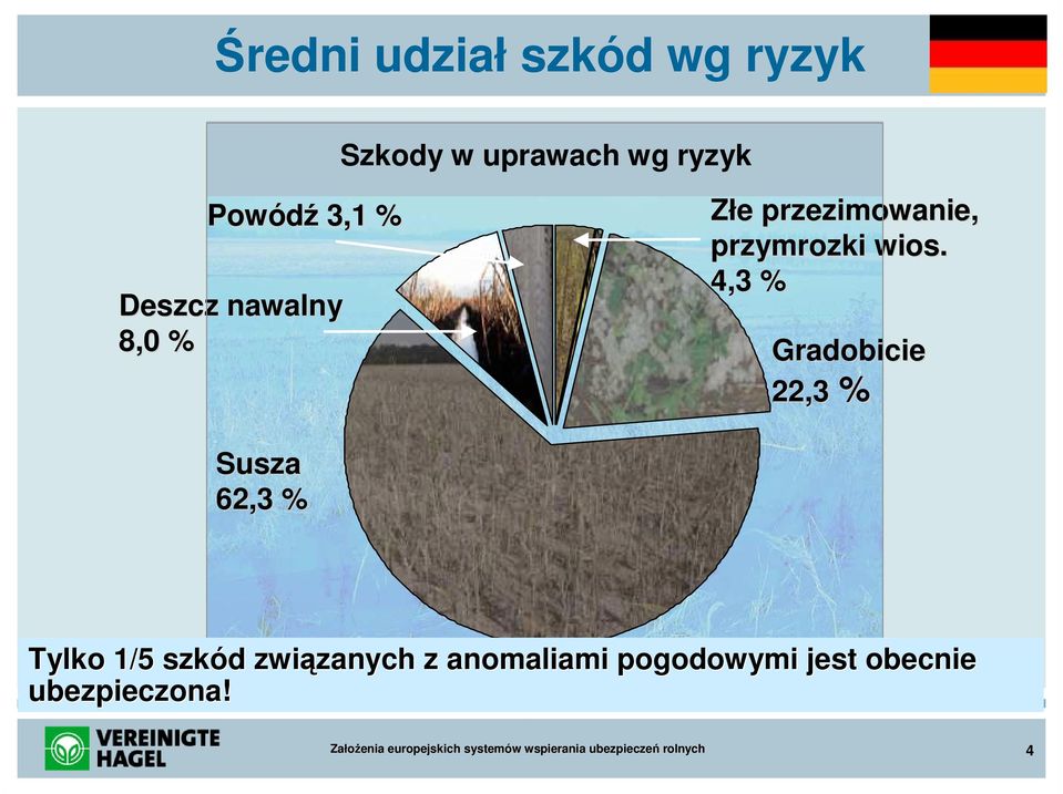 Deszcz nawalny 8,0 % Susza 62,3 % Szkody w uprawach wg ryzyk