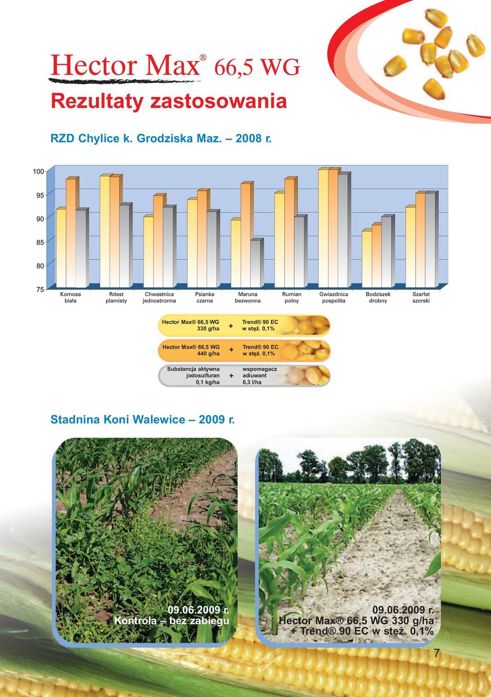 0,1% Hector Max 66,5 WG 440 g/ha Substancja aktywna jodosulfuran 0,1 kg/ha + + Trend 90 EC w