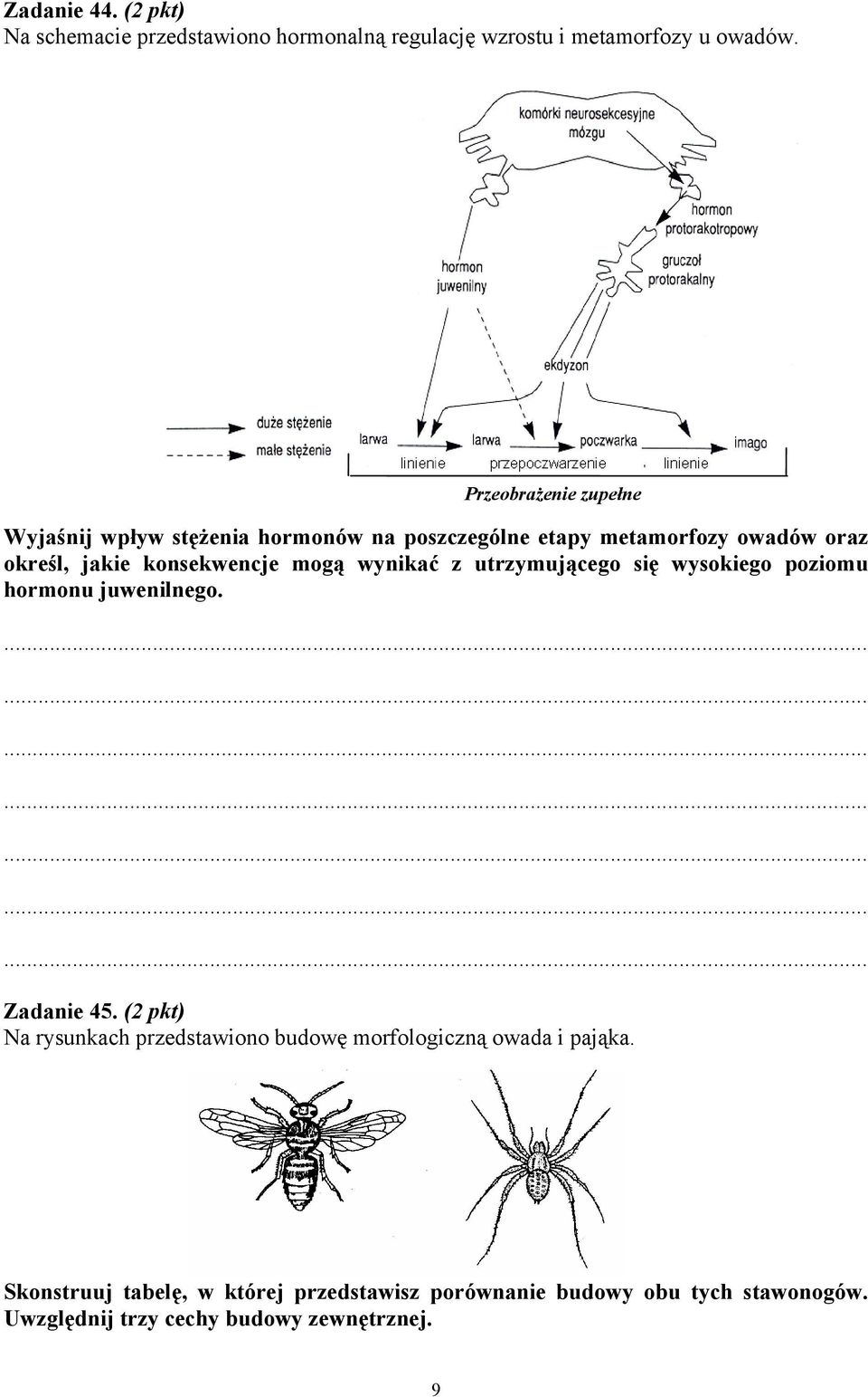 konsekwencje mogą wynikać z utrzymującego się wysokiego poziomu hormonu juwenilnego. Zadanie 45.