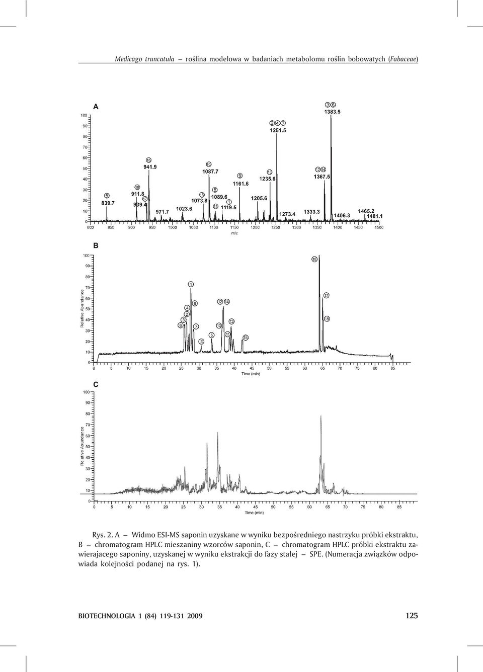 mieszaniny wzorców saponin, C chromatogram HPLC próbki ekstraktu zawierajacego saponiny, uzyskanej w wyniku