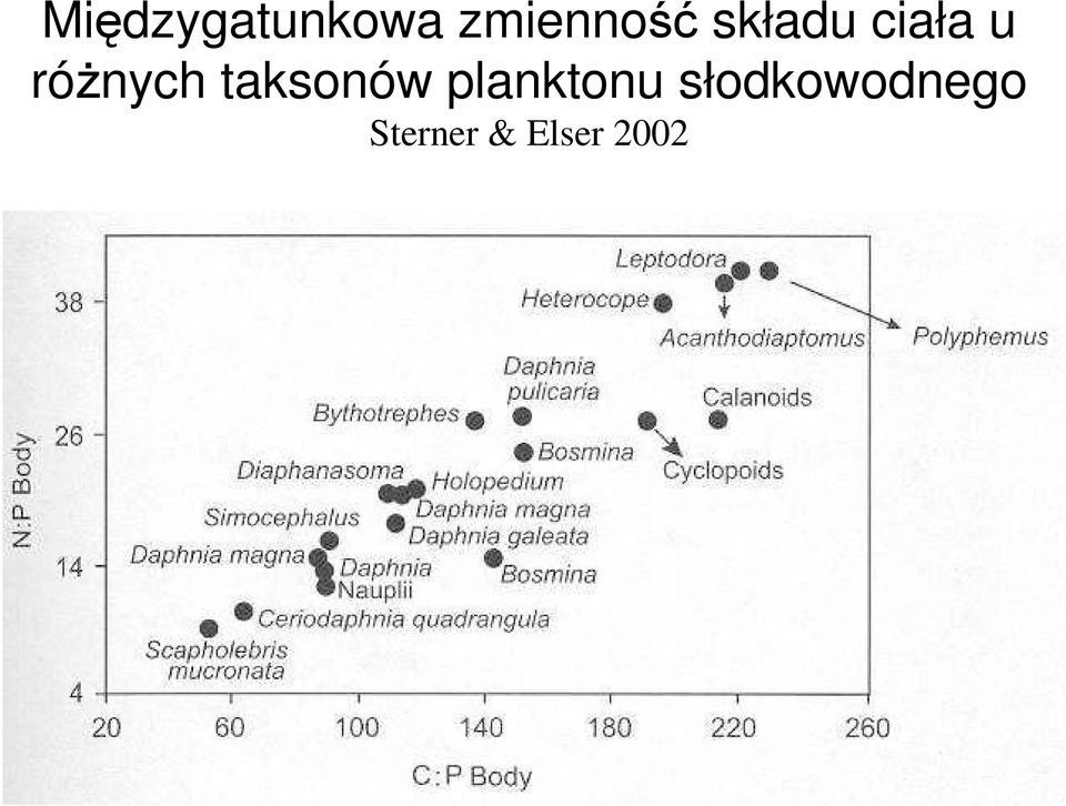 taksonów planktonu