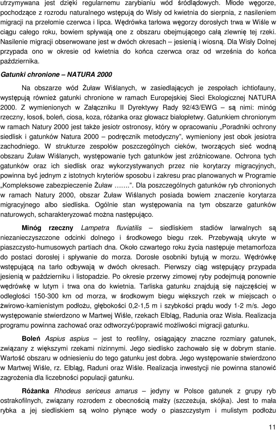 Wędrówka tarłowa węgorzy dorosłych trwa w Wiśle w ciągu całego roku, bowiem spływają one z obszaru obejmującego całą zlewnię tej rzeki.