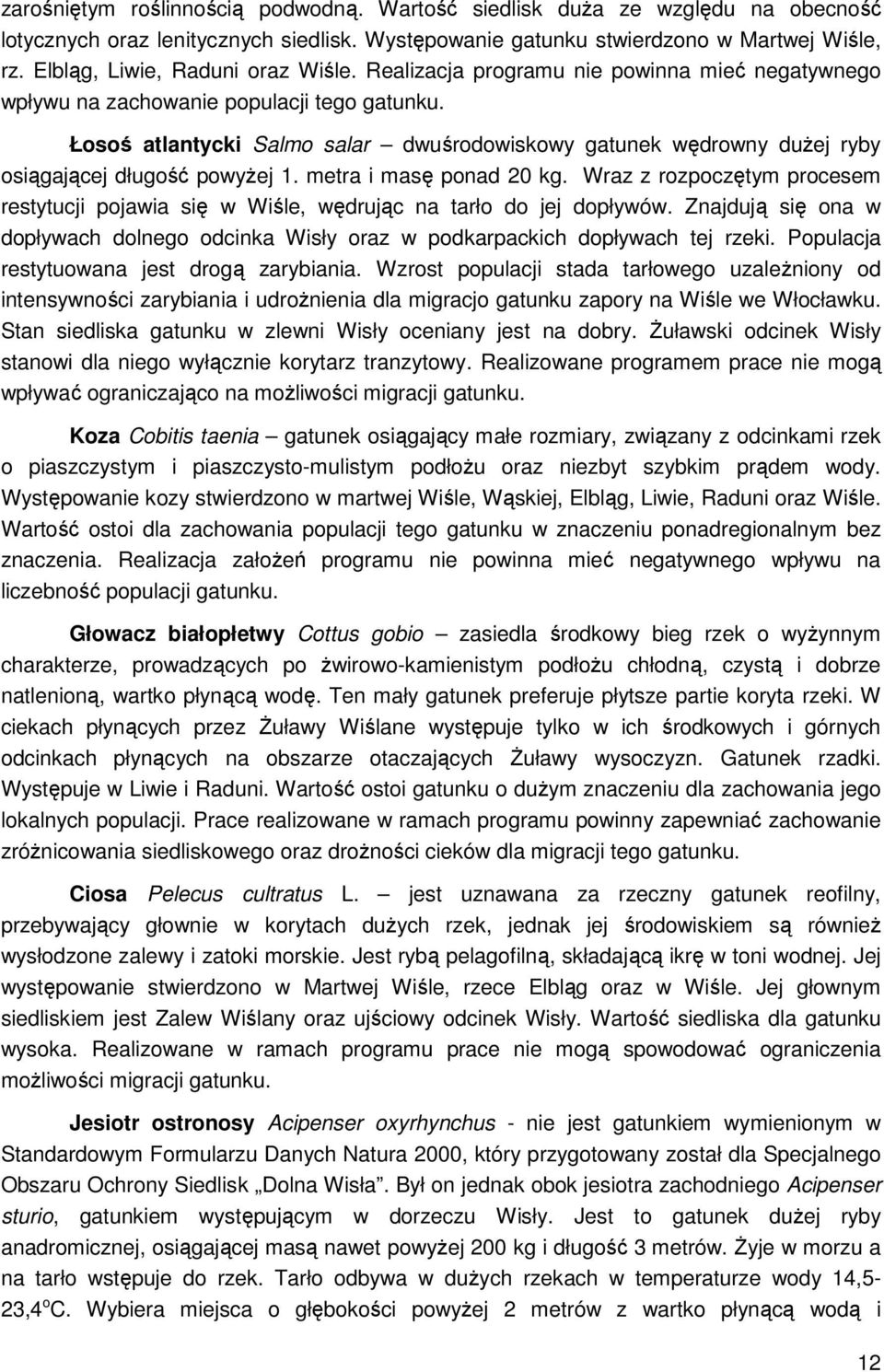 Łosoś atlantycki Salmo salar dwuśrodowiskowy gatunek wędrowny dużej ryby osiągającej długość powyżej 1. metra i masę ponad 20 kg.