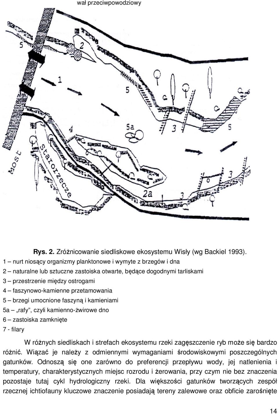 przetamowania 5 brzegi umocnione faszyną i kamieniami 5a rafy, czyli kamienno-żwirowe dno 6 zastoiska zamknięte 7 - filary W różnych siedliskach i strefach ekosystemu rzeki zagęszczenie ryb może się