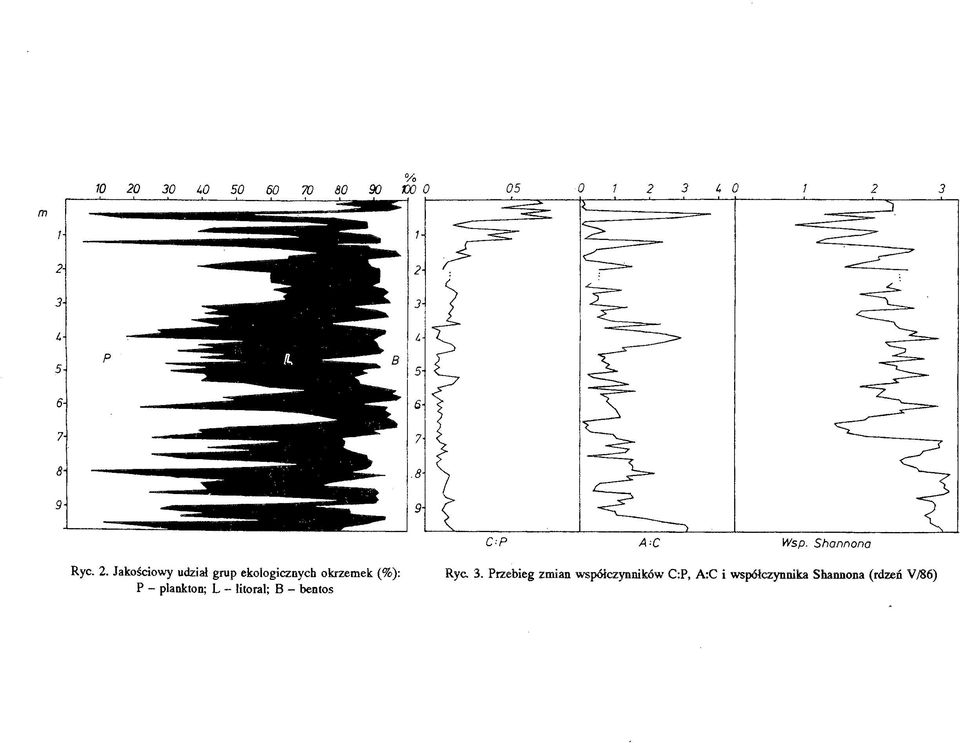 P - plankton; L - łitoral; В - bentos Ryc. 3.