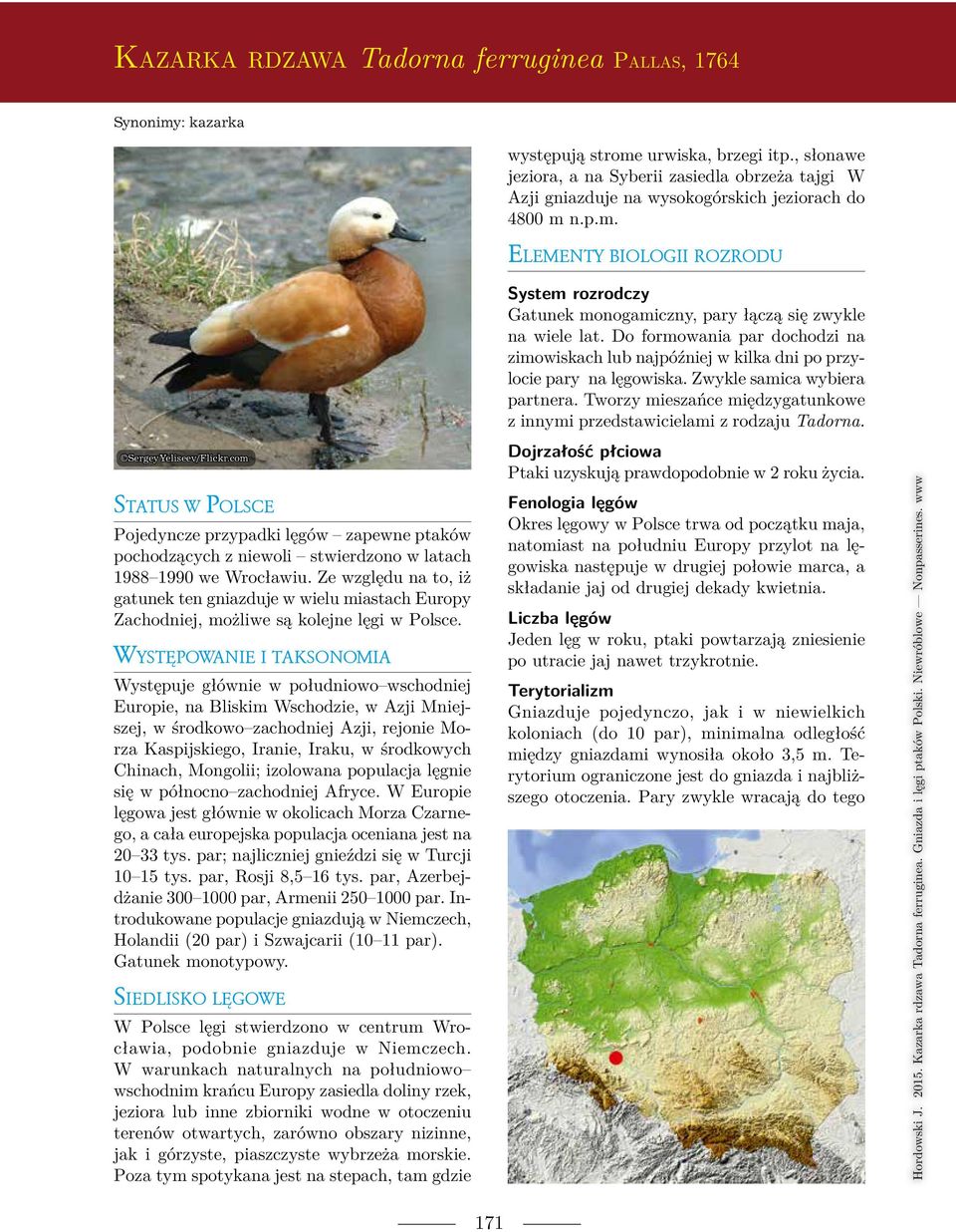 n.p.m. Elementy biologii rozrodu Status w Polsce Pojedyncze przypadki lę gów zapewne ptaków pochodzących z nie wo li stwier dzo no w latach 1988 1990 we Wrocławiu.