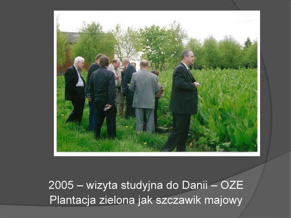 OZE Plantacja