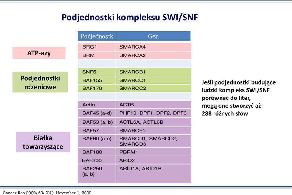 kompleks SWI/SNF porównać do liter, mogą one stworzyć aż 288