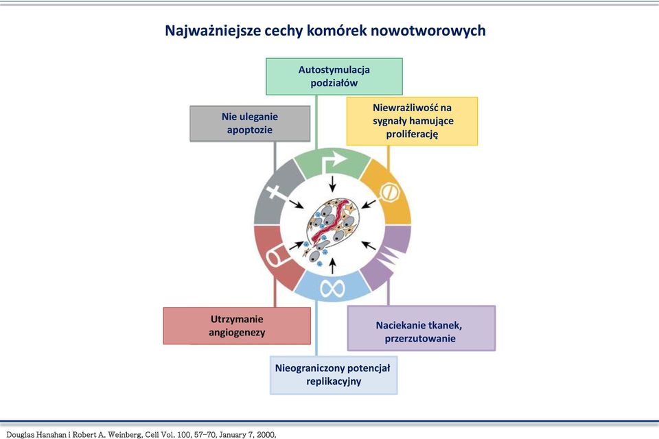 Naciekanie naciekanie tkanek, tkanek, przerzutowanie przerzutowanie Nieograniczony