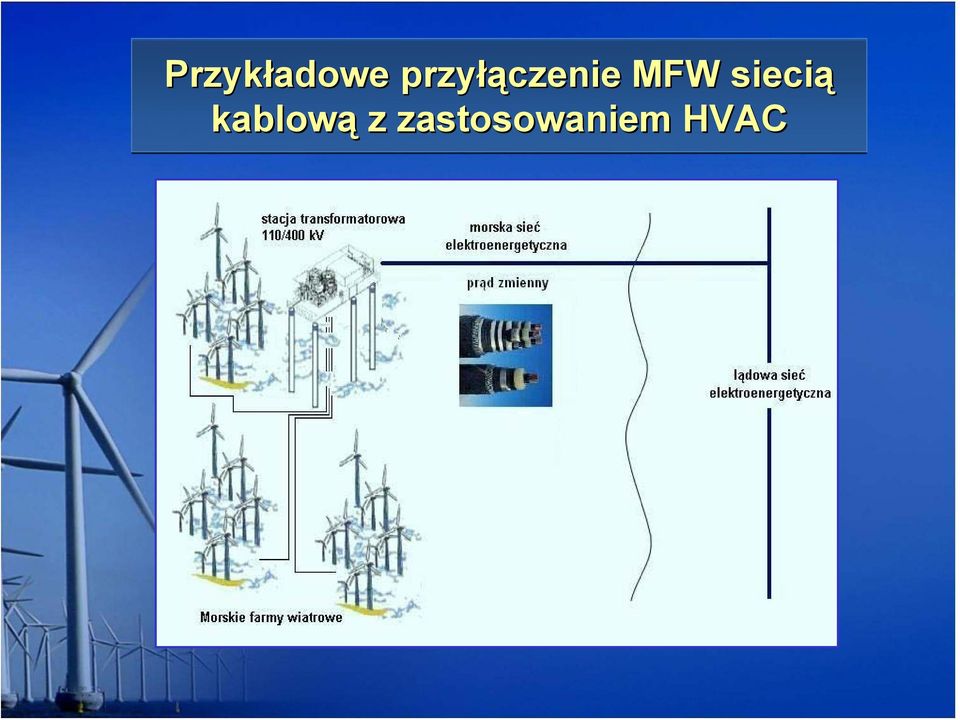 MFW siecią