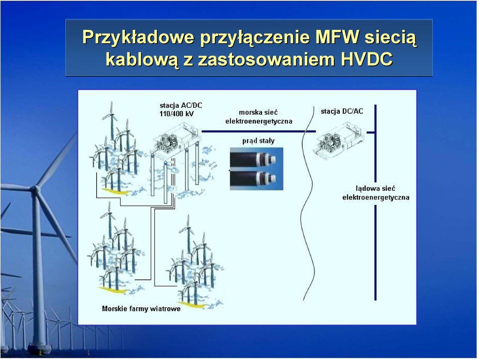 MFW siecią