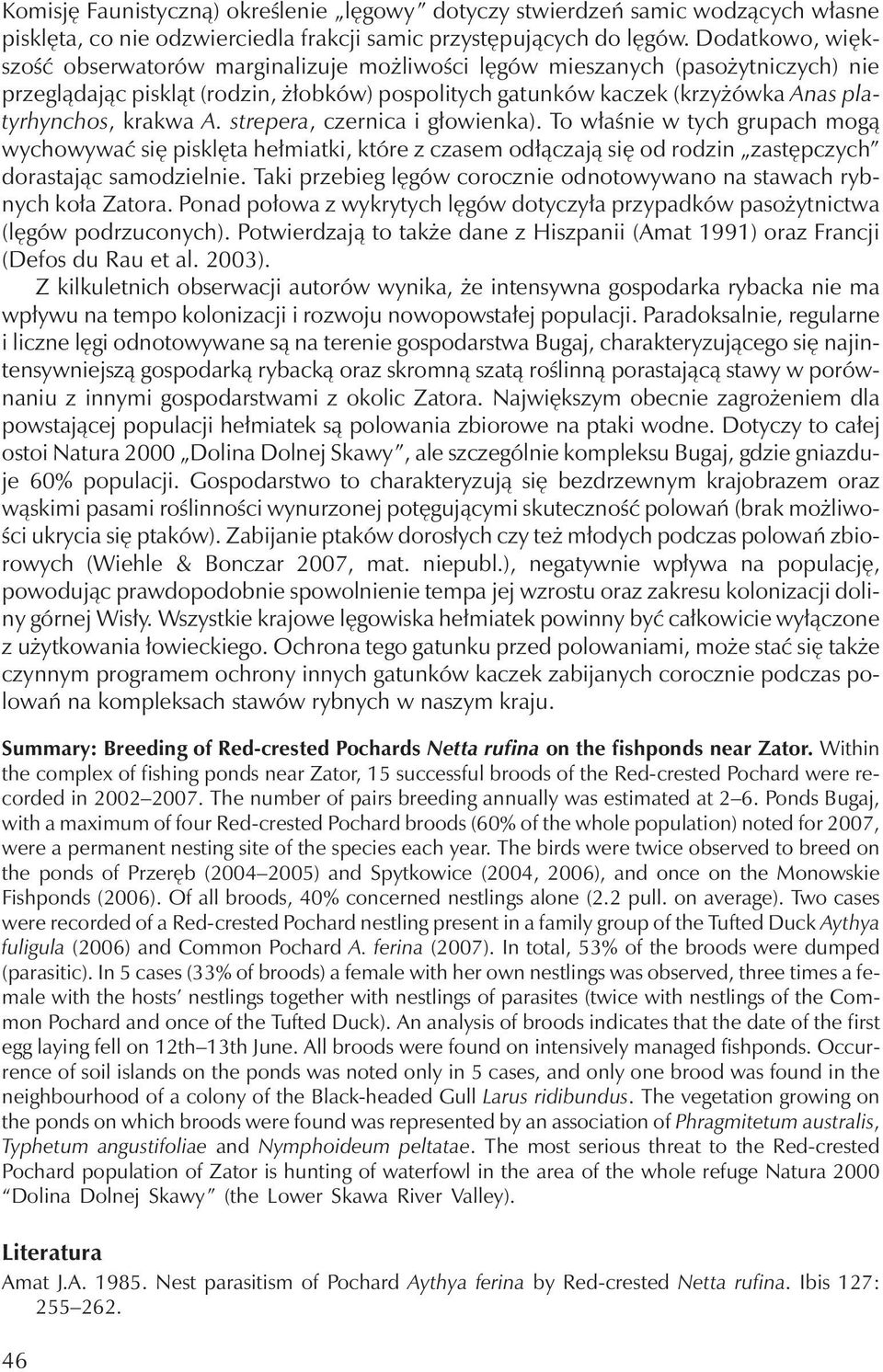 krakwa A. strepera, czernica i głowienka). To właśnie w tych grupach mogą wychowywać się pisklęta hełmiatki, które z czasem odłączają się od rodzin zastępczych dorastając samodzielnie.