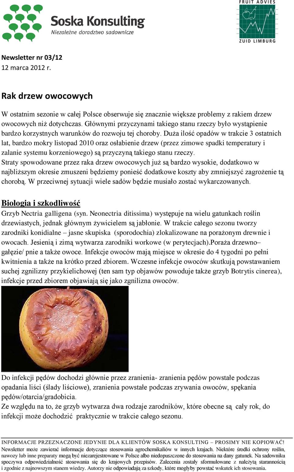 Duża ilość opadów w trakcie 3 ostatnich lat, bardzo mokry listopad 2010 oraz osłabienie drzew (przez zimowe spadki temperatury i zalanie systemu korzeniowego) są przyczyną takiego stanu rzeczy.