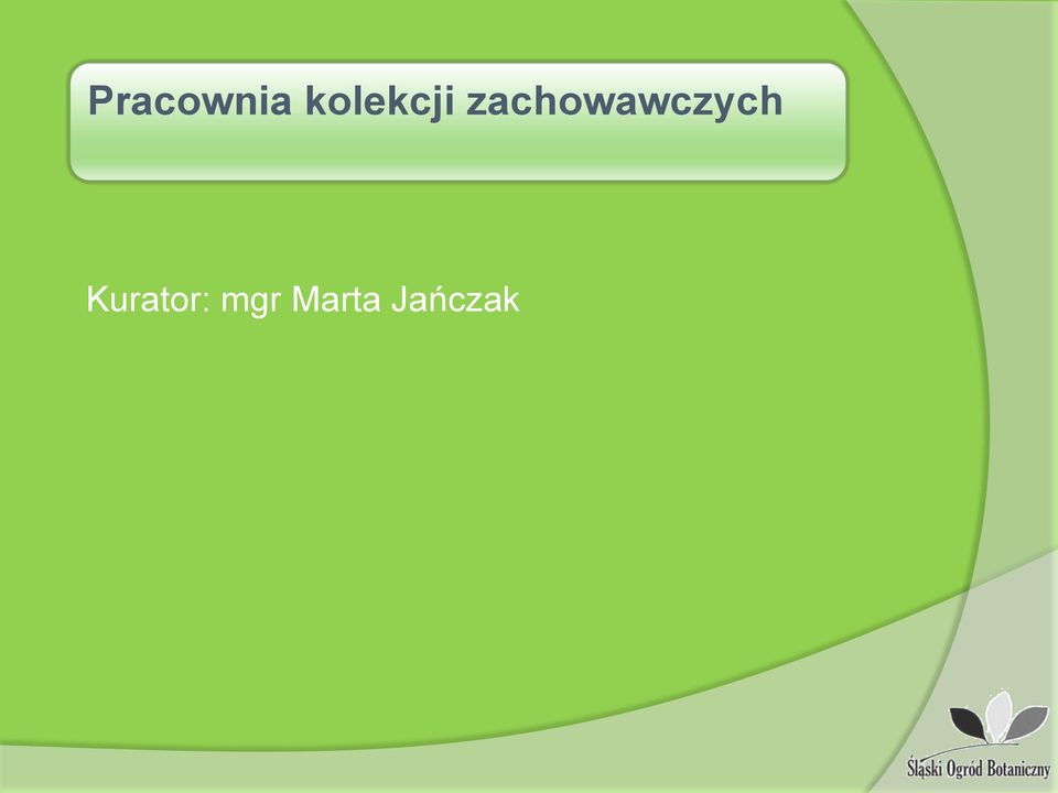 zachowawczych