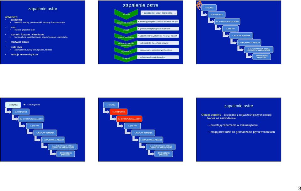 napływ nowych reakcje komórkowe martwica tkanki ciała obce Ø zabrudzenia, szwy chirurgiczne, tatuaże reakcje immunologiczne eliminacja czynnika sprawczego regeneracja rozejście wolne rodniki,