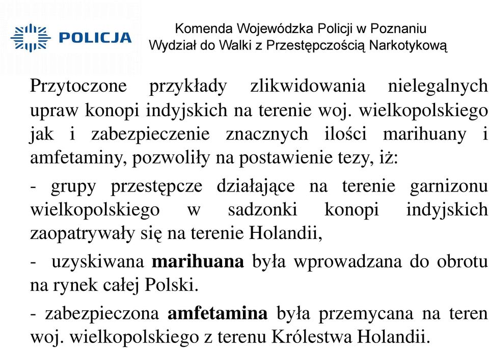 przestępcze działające na terenie garnizonu wielkopolskiego w sadzonki konopi indyjskich zaopatrywały się na terenie Holandii,