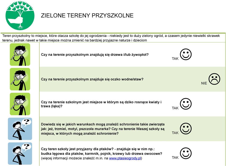 NIE Czy na terenie szkolnym jest miejsce w którym są dziko rosnące kwiaty i trawa (łąka)?