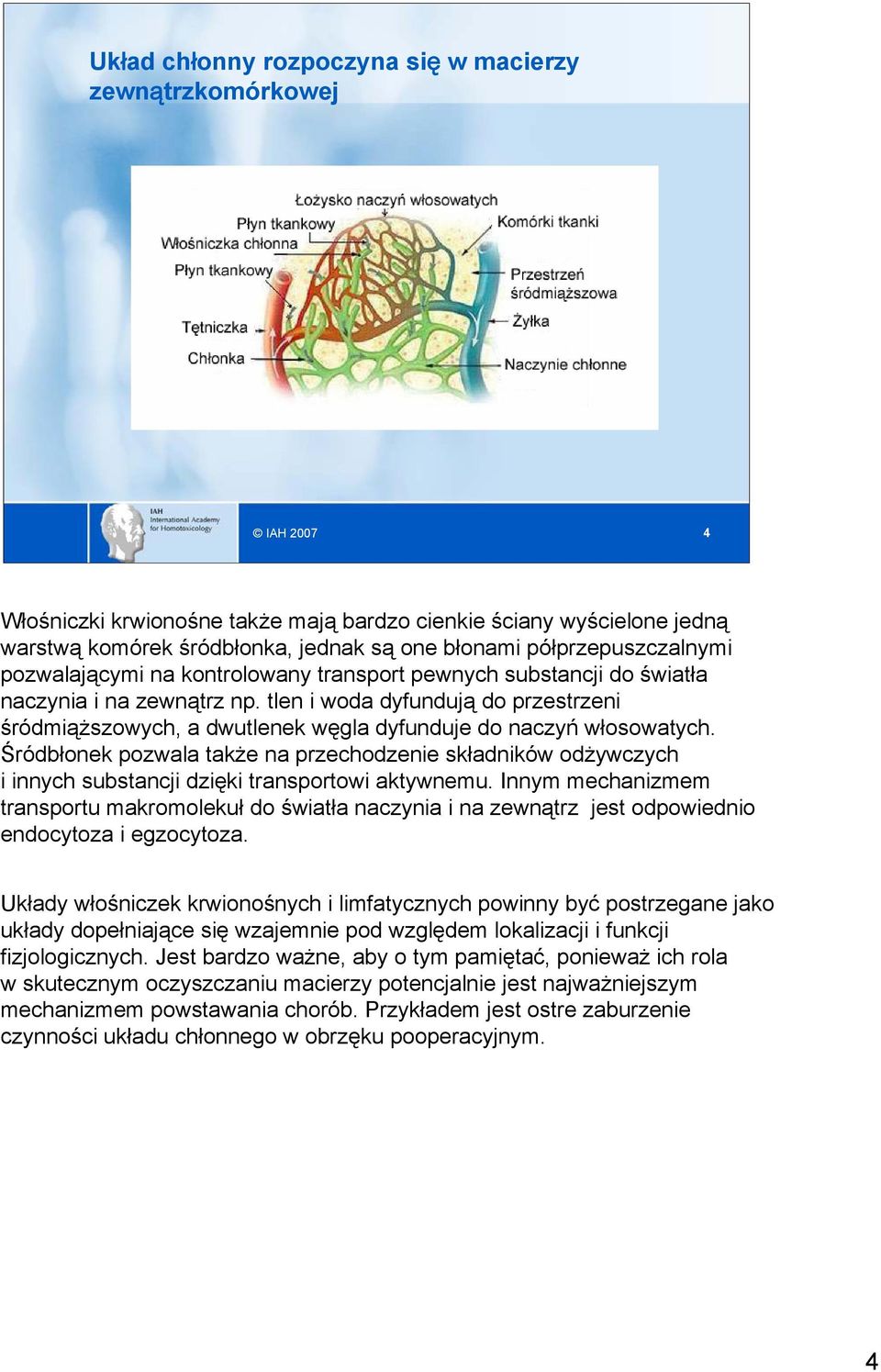 tlen i woda dyfundują do przestrzeni śródmiąższowych, a dwutlenek węgla dyfunduje do naczyń włosowatych.