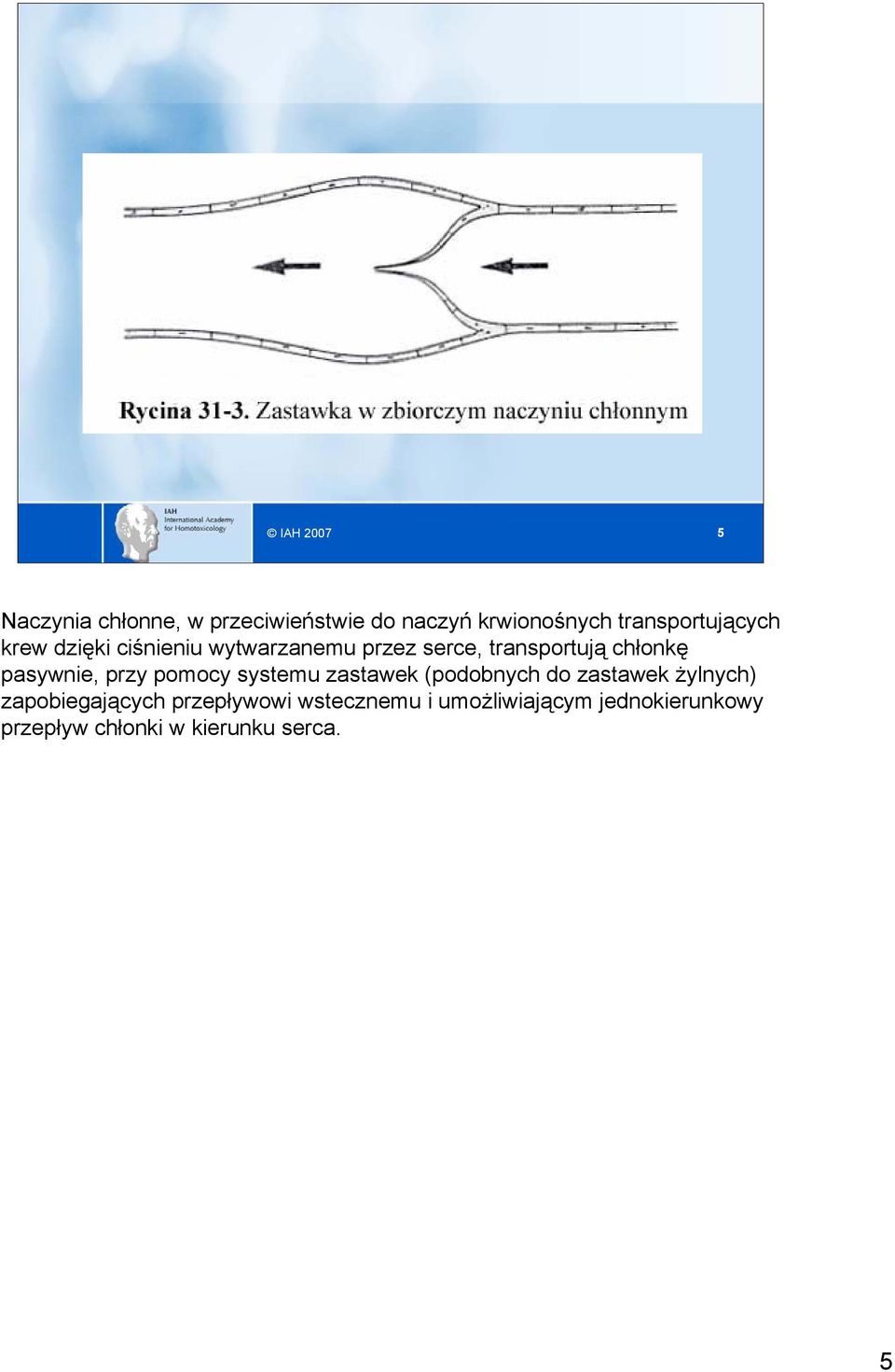 chłonkę pasywnie, przy pomocy systemu zastawek (podobnych do zastawek żylnych)