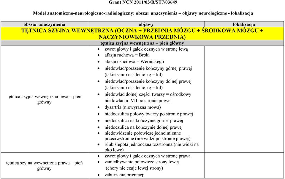 głowy i gałek ocznych w stronę lewą afazja ruchowa = Broki afazja czuciowa = Wernickego niedowład/porażenie kończyny górnej prawej niedowład/porażenie kończyny dolnej prawej niedowład dolnej części