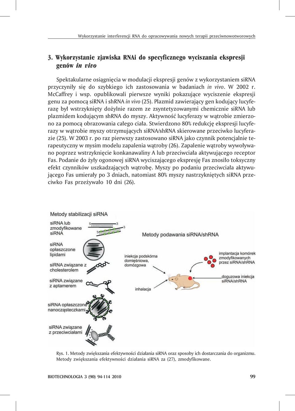 zastosowania w badaniach in vivo. W 2002 r. McCaffrey i wsp. opublikowali pierwsze wyniki pokazuj¹ce wyciszenie ekspresji genu za pomoc¹ sirna i shrna in vivo (25).